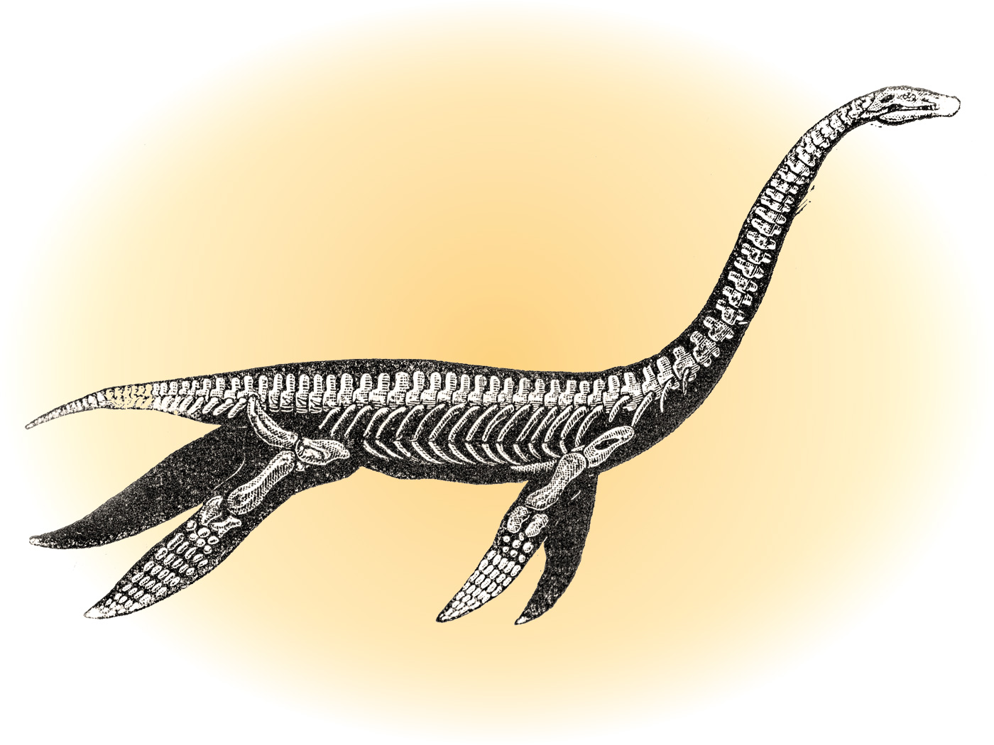 Плезиозавр раскраска